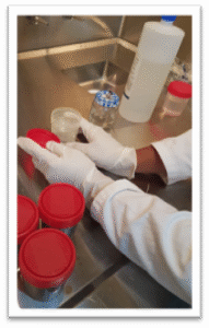 Frasco de muestra con glicerol y solución salina al 50% utilizado para conservar piel de tilapia destinada a uso terapéutico.