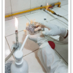 Piel de tilapia en caja de Petri siendo desinfectada con gluconato de clorhexidina en un entorno de laboratorio.